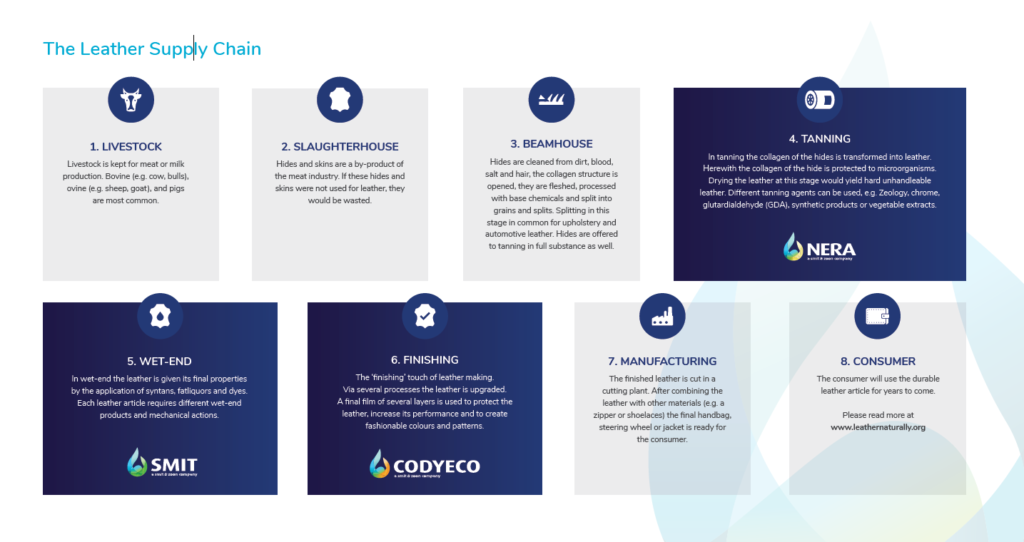 Leather Supply Chain - infographic
